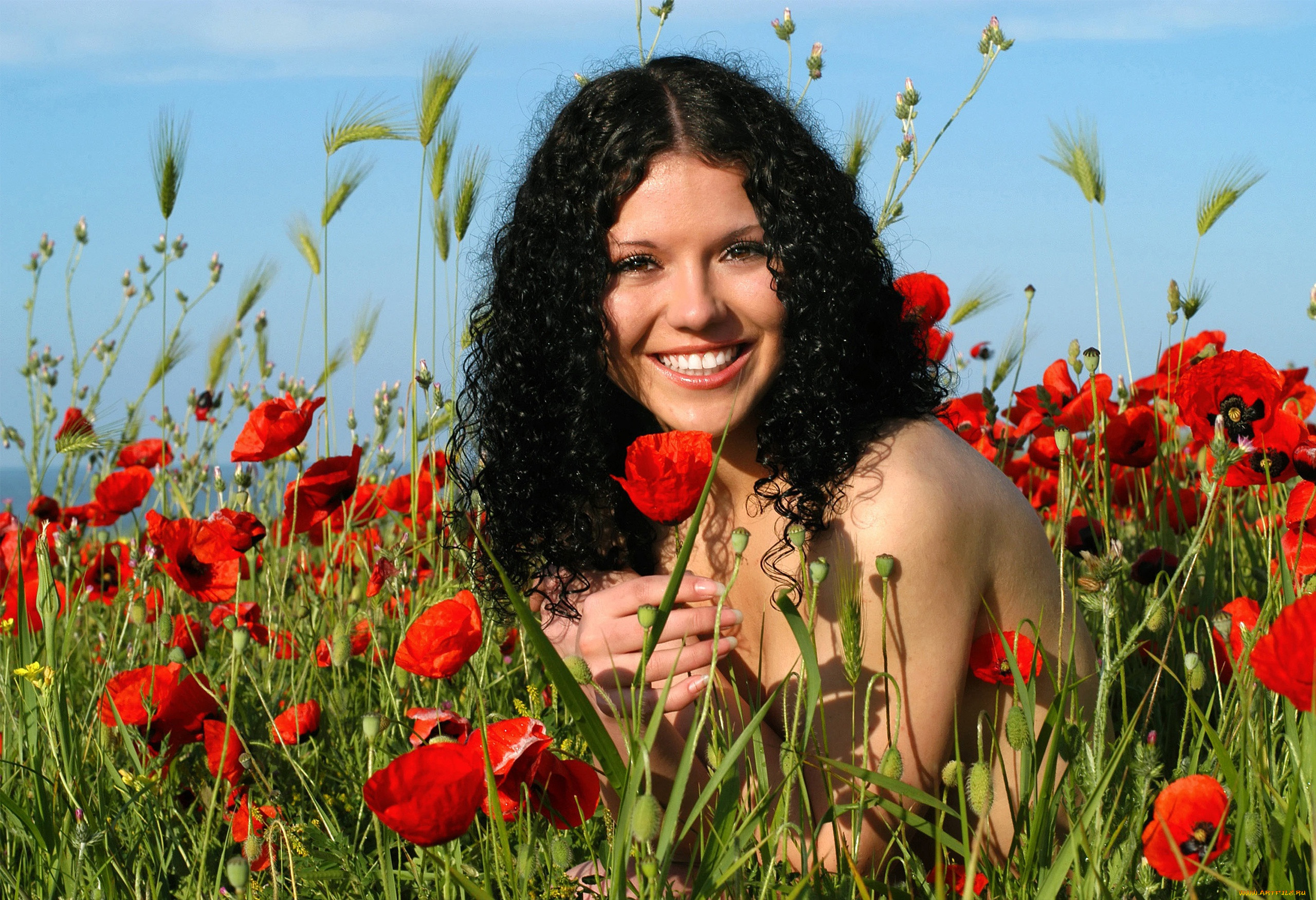 �������, - ��������,  �������, �������